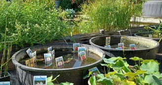 ferme aquacole d'anjou_morannes