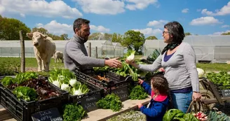 le potager de Gaël