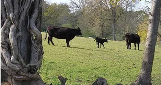 Ferme Roc au Loup