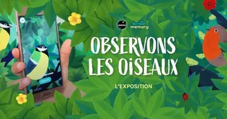 exposition interactive "Observons les oiseaux"