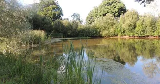 GÎTE ÉTAPE ET SÉJOUR - DOMAINE DES MILLE OISEAUX : LES HIRONDELLES