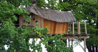 HLO53 - Cabane dans les arbres Gué de Selle