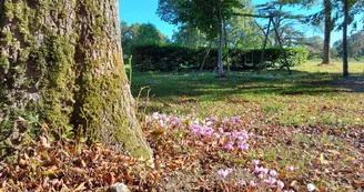 LE PIGEONNIER