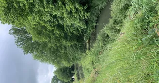 GITE INSOLITE TROGLOGITE L'ETANG D'EOLE