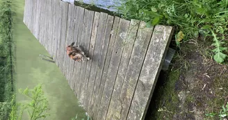 GITE INSOLITE TROGLOGITE L'ETANG D'EOLE