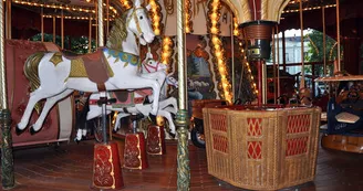 31578_carrousel