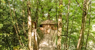 Cabane perché dans les arbres l'Orbière Laval