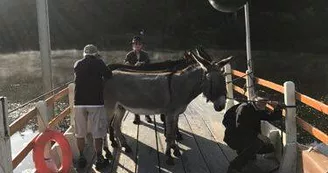 traversée ânes bac de ménil mayenne