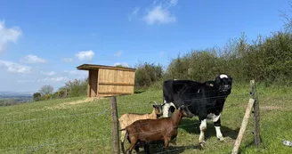 Ferme Pédagogique Pat'à foin Kids