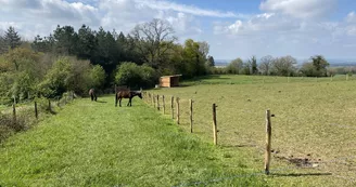 Ferme Pédagogique Pat'à foin Kids