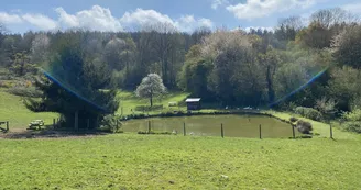 Ferme Pédagogique Pat'à foin Kids