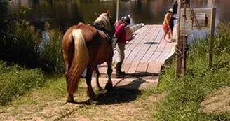 bac ménil chevaux slowlydays TRAIT NATURE