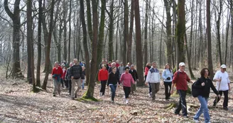 BOIS DE L'HUISSERIE