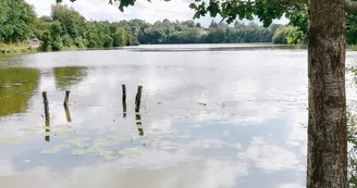 Lac de Haute Mayenne