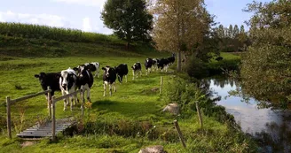 sentier-de-randonnee-du-saut-au-loup-brece-53-iti 2 (8)