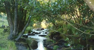 sentier-de-randonnee-du-saut-au-loup-brece-53-iti