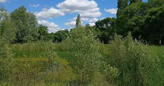 Marais pédagogique de Briollay