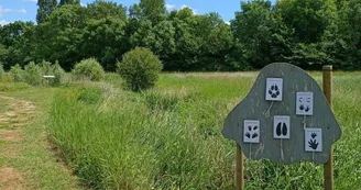 Marais pédagogique de Briollay