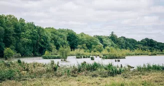 Marais de Montreuil-Juigné