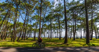 velo-bord-de-lac-arbre-piste-cyclable--3--verneuil.jpg