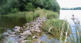 Circuit des Daumiers à Saint-Pardoux_2