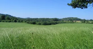 Circuit des Daumiers à Saint-Pardoux_3