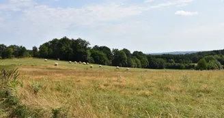 Circuit du dolmen de la Goupillère_3