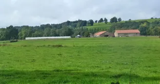 Le tour de l'île de Navière_5