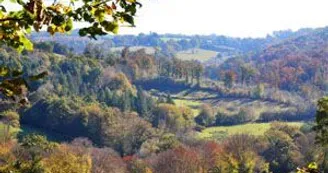 Sentier de l'étang des landes à Saint-Paul_1