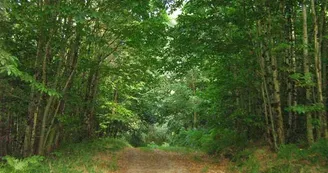 Sentier Les Chevreuils_2