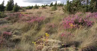 Sentier des bergers et tuiliers_1