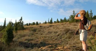 Sentier des bergers et tuiliers_5