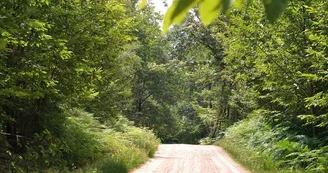 Sentier Le Bois du Curé et des mille Diables_7