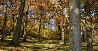 Sentier Le Bois du Curé et des mille Diables_1