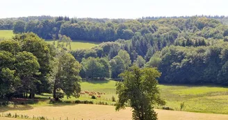 Sentier Le Bois du Curé et des mille Diables_5