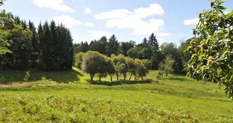 Chemin des hautes forêts_1