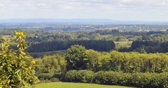 Chemin des hautes forêts_3