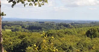 Chemin des hautes forêts_4