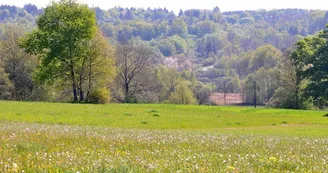 Circuit de César_2