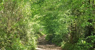 Sentier des forges et des moulins_3