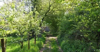 Sentier Entre Puys et Landes_1