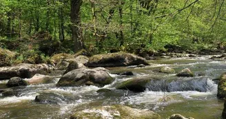 Sentier des Feutrières_1