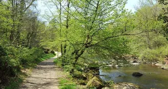 Sentier des Feutrières_2