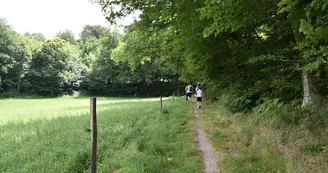 Sentier des étangs_3