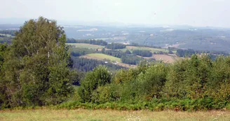 Chemin de Sussac au Mont Gargan_2