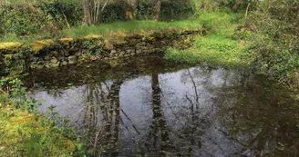 Circuit des clochers et des étangs_15