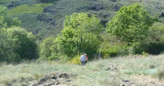 Sentier de la serpentine_1