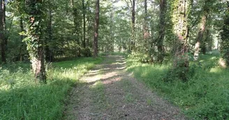 le sentier du bois des chapelles_4