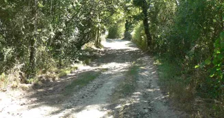 Chemin de la Galache à Lassalle_1