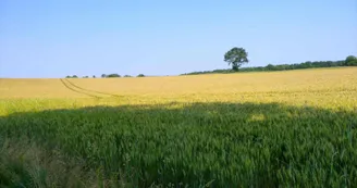 Sentier du Moulin Chabrou_2